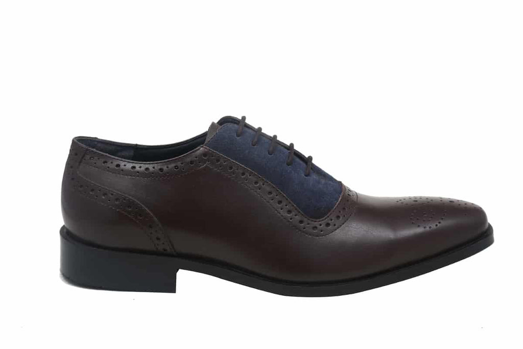 Blue Harpers Multi Color Office Genuine Leather Formal Shoes