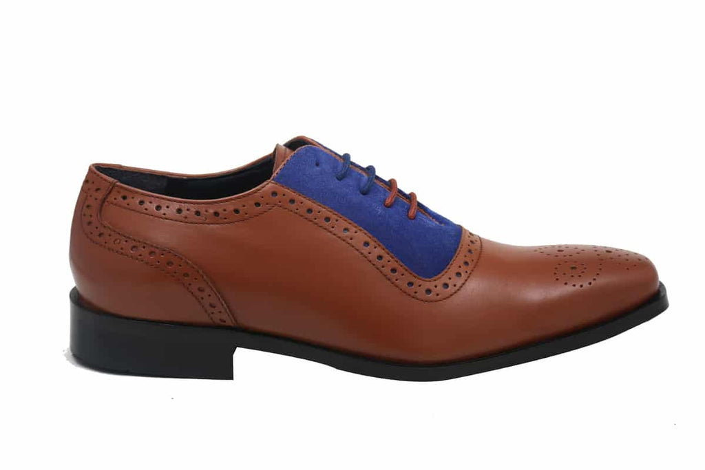 Blue Harpers Multi Color Office Genuine Leather Formal Shoes